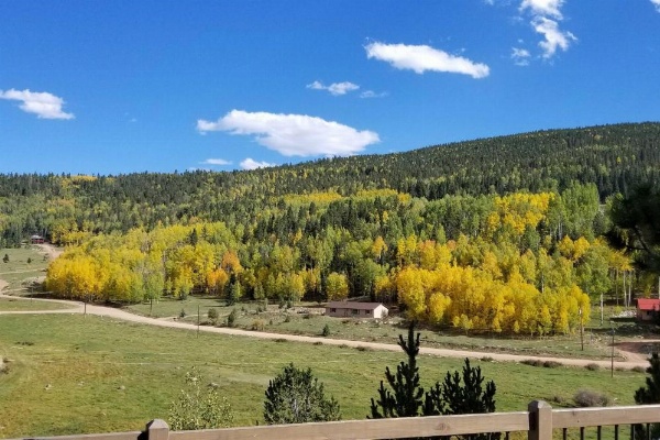 Hillside Cripple Creek Cabin with Hot Tub, Mtn Views! image 25