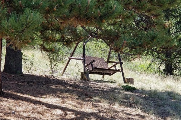 Hillside Cripple Creek Cabin with Hot Tub, Mtn Views! image 29